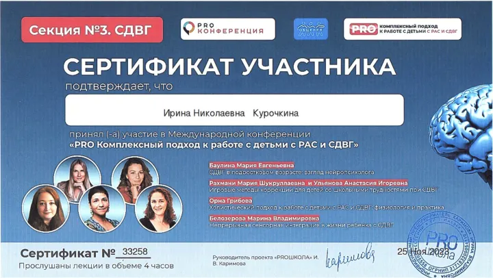 Сертификат участника международной конференции, 2023 год